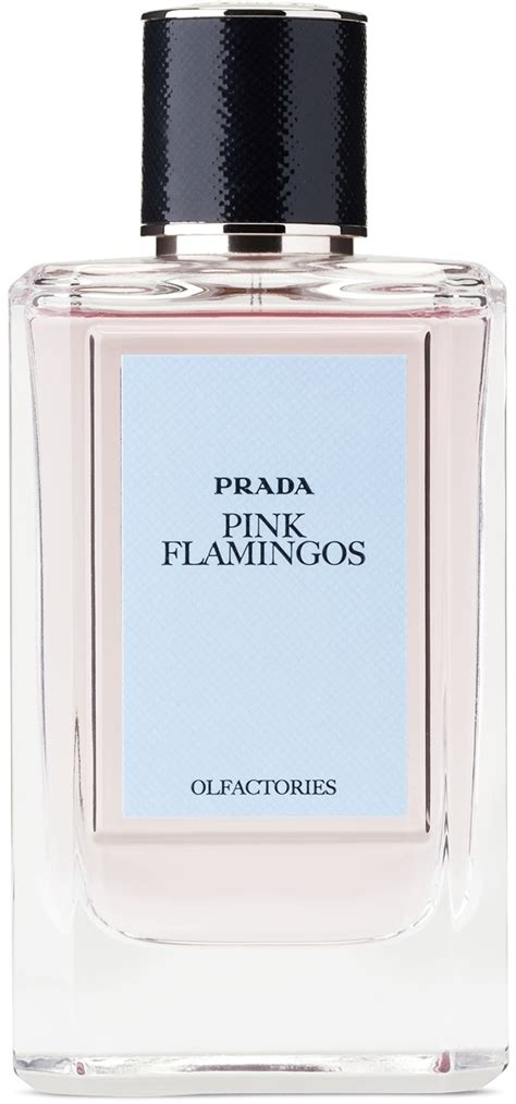 parfum femei prada|Prada pink flamingos.